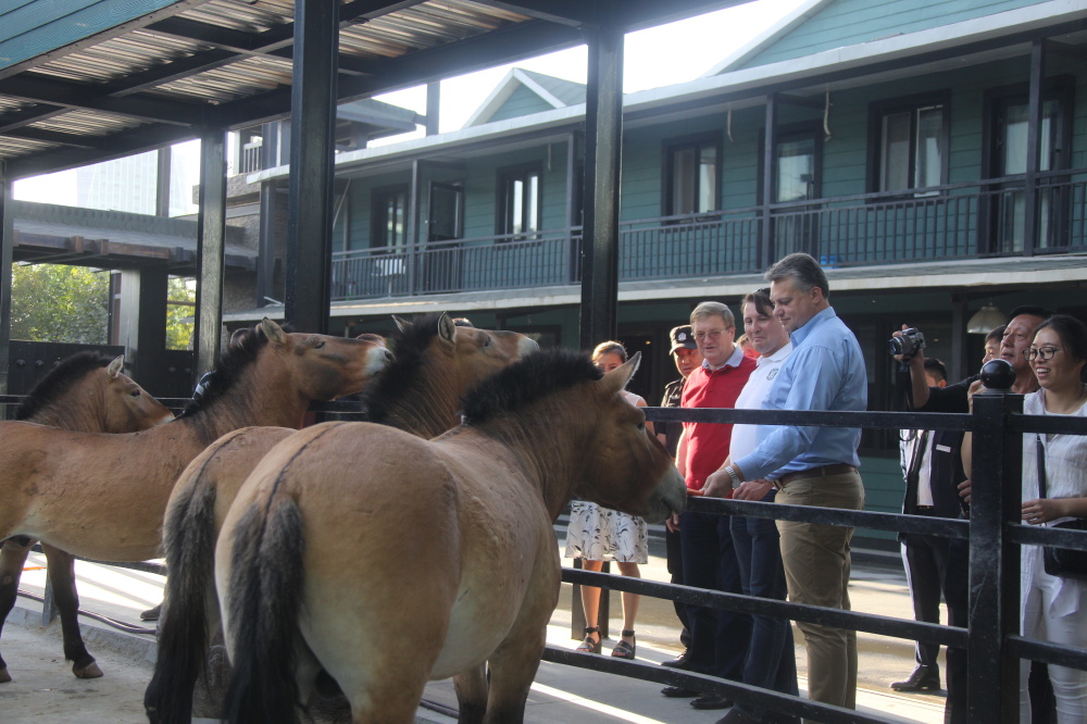 圖片關鍵詞 圖片關鍵詞