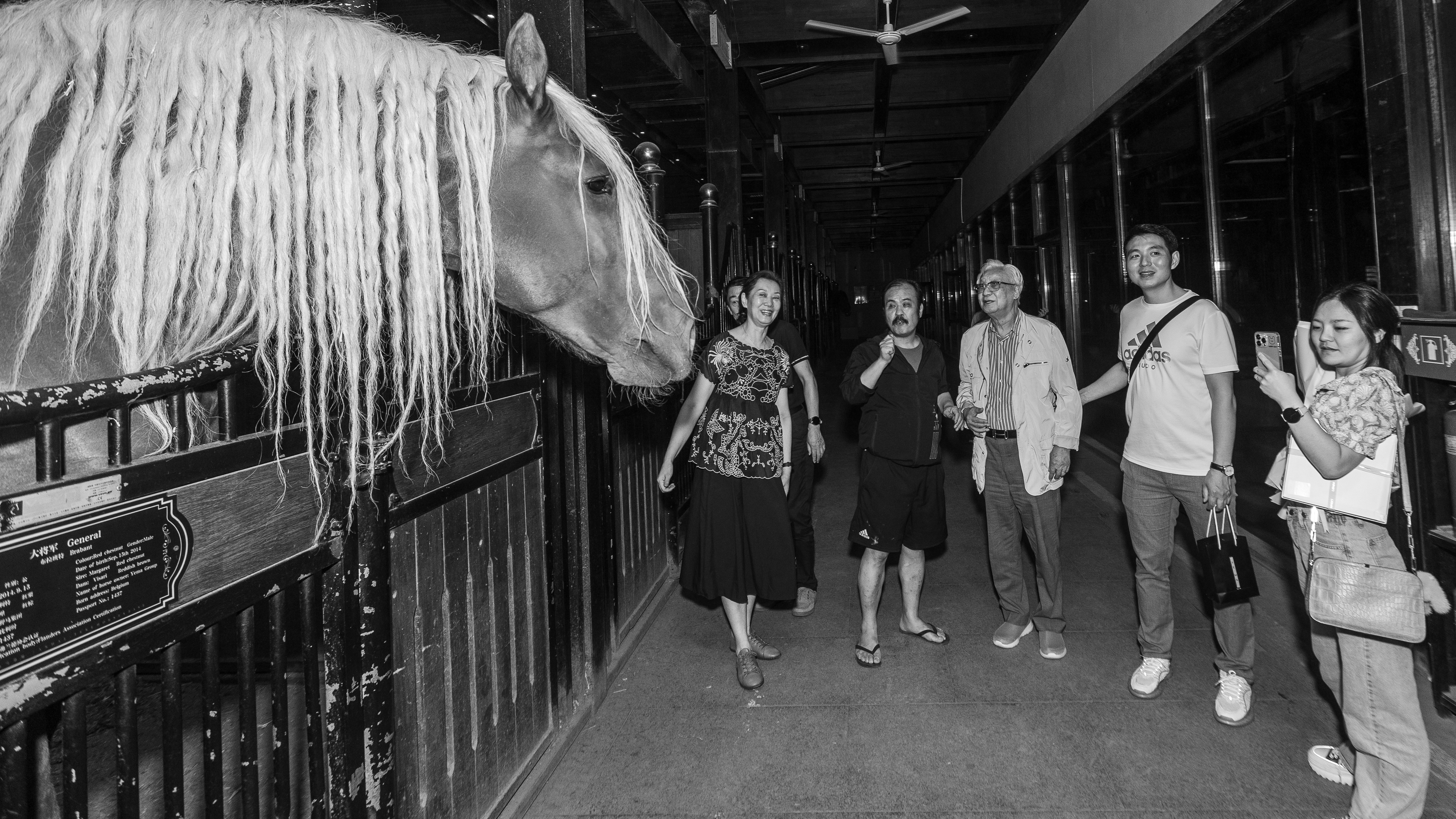 圖片關鍵詞 圖片關鍵詞