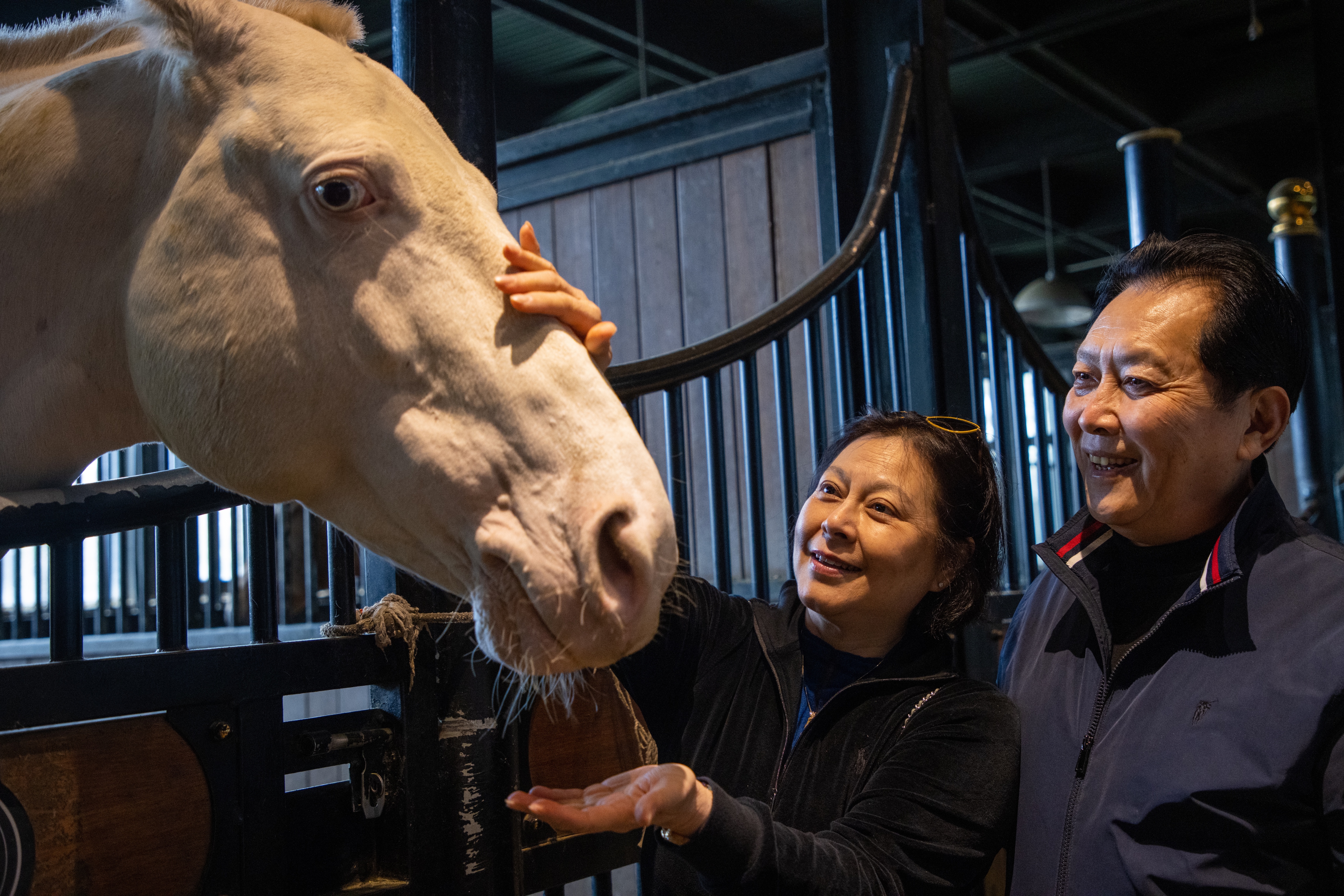 圖片關鍵詞 圖片關鍵詞