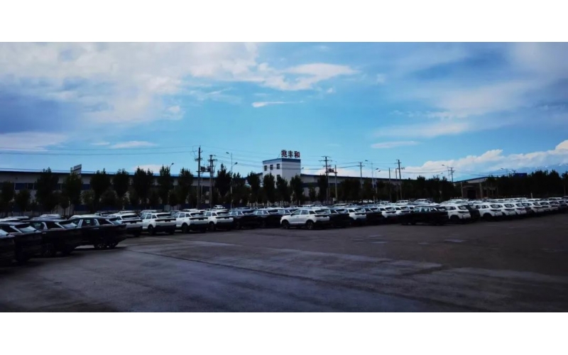 野馬外貿(mào)助力中國(guó)汽車(chē)向西，向西……