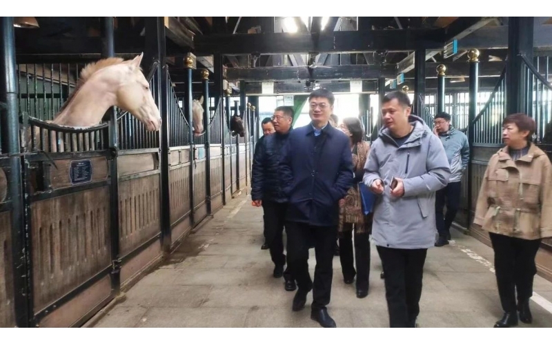 高雷副廳長在野馬集團調(diào)研時表示，要通過科技助力，精準解決“卡脖子”問題