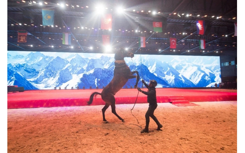 住馬酒店、吃馬肉腸、喝馬奶粉、品馬奶酒--
